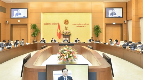 Tránh chồng chéo trong quản lý thực phẩm chức năng và thuốc chữa bệnh