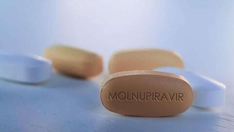Bộ Y tế cấp phép 3 loại thuốc chứa Molnupiravir sản xuất trong nước