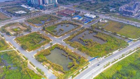 Rà soát đấu giá quyền sử dụng đất: Bộ Tư pháp nêu rõ những “điểm vướng”