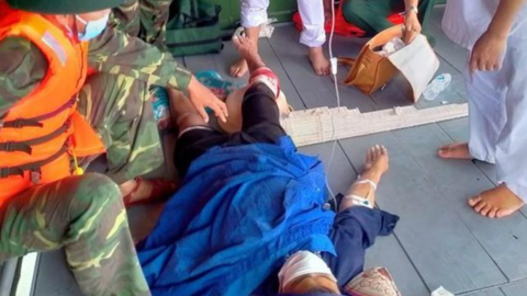 Cách phòng tránh cá mập tấn công khi tắm biển