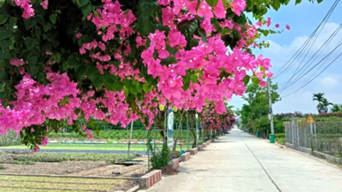 Cho những miền quê ngày càng xanh, sạch, đẹp