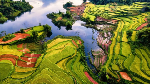 Tọa độ ngắm ruộng bậc thang đẹp rực rỡ và đầy thanh bình ở Tuyên Quang