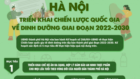 Hà Nội triển khai chiến lược quốc gia về dinh dưỡng giai đoạn 2022-2030