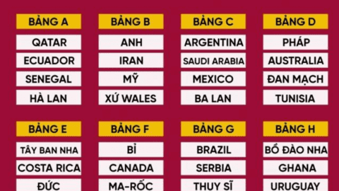 World Cup 2022 tổ chức tại đâu?