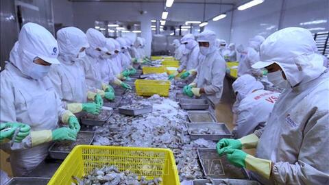 Kinh tế 2022 - 2023: Xuất khẩu vững chắc với thế 'chân kiềng'