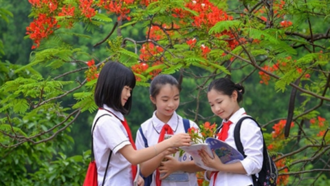 Lịch nghỉ hè của học sinh trên cả nước năm 2023