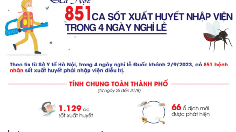 Hà Nội: 851 ca sốt xuất huyết nhập viện trong 4 ngày nghỉ lễ