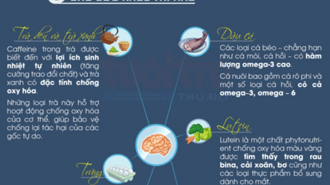 6 loại thực phẩm giàu chất dinh dưỡng cho sức khỏe trí não