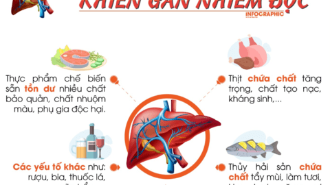 Những thực phẩm dễ khiến gan nhiễm độc
