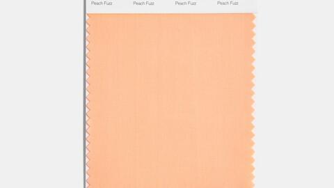 Pantone công bố màu của năm 2024: Đại diện cho lòng nhân ái, sự kết nối con người và sức khỏe tinh thần