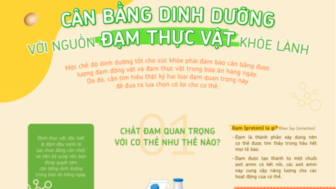 Những điều cần biết về đạm, bí quyết sống khỏe với đạm thực vật