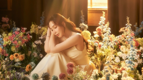 Hồ Quỳnh Hương lên tiếng khi bị nói nhiều tiền, là "đại gia ngầm showbiz"