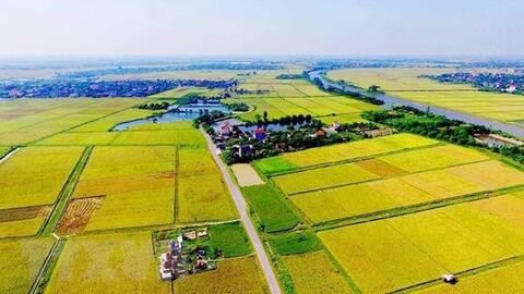 Điểm mới quan trọng của Luật Đất đai 2024: Nâng hạn mức nhận chuyển quyền sử dụng đất nông nghiệp