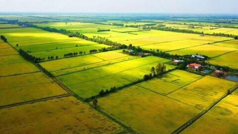 Điểm mới quan trọng của Luật Đất đai 2024: Không còn cấp đất cho hộ gia đình từ ngày 1-1-2025