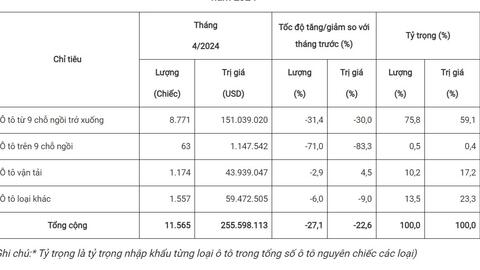 Tháng 4-2024: Ô tô nguyên chiếc các loại nhập khẩu giảm 4.295 chiếc