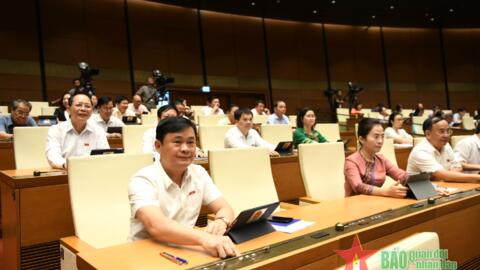 Quốc hội đồng ý một số cơ chế đặc thù cho TP Đà Nẵng, thí điểm lập khu thương mại tự do