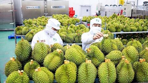 Rau quả Việt Nam có thể vươn tới kim ngạch xuất khẩu kỷ lục 7 tỷ USD