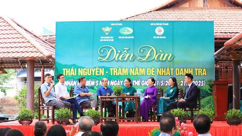 Thái Nguyên - Trăm năm đệ nhất danh trà: Hành trình gìn giữ bản sắc và vươn tầm thế giới