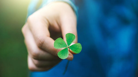 <a href="/ngam" title="Ngẫm" rel="dofollow">Ngẫm</a>