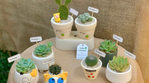 <a href="/ngam" title="Ngẫm" rel="dofollow">Ngẫm</a>