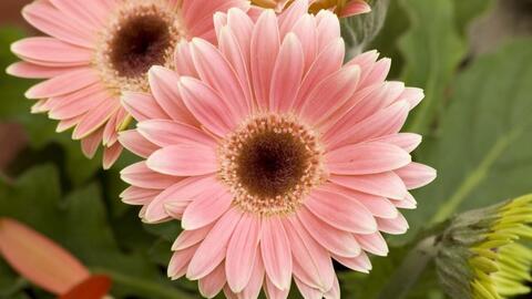 <a href="/ngam" title="Ngẫm" rel="dofollow">Ngẫm</a>