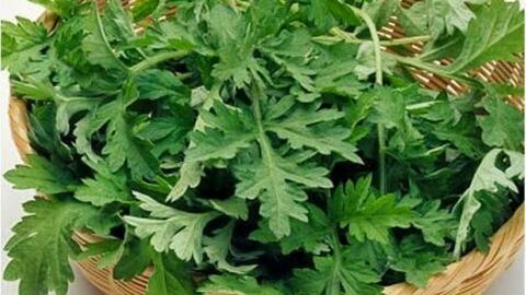 <a href="/ngam" title="Ngẫm" rel="dofollow">Ngẫm</a>