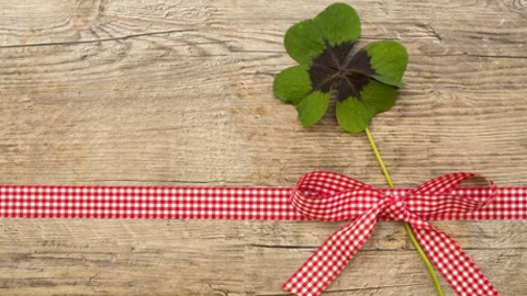 <a href="/ngam" title="Ngẫm" rel="dofollow">Ngẫm</a>