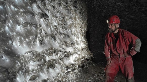 Phát hiện mạng nhện khổng lồ chứa hơn 111.000 con trong hang tối