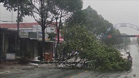 Đắk Lắk: Thiệt hại ước tính 170 tỷ đồng do bão số 13