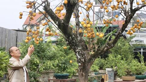Làm giàu, làm đẹp từ hoa - cây cảnh ở Vĩnh Thanh