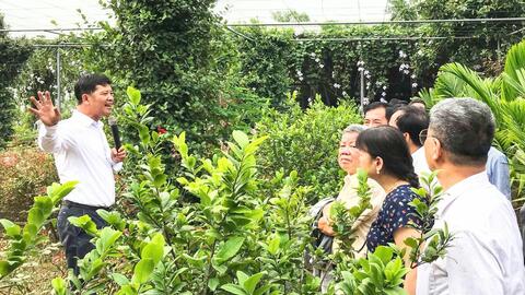 Định hình một Hà Nội xanh, thông minh, phát triển bền vững