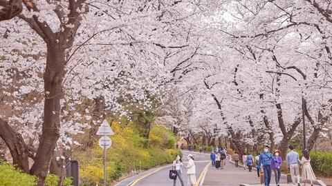 Hàn Quốc đặt mục tiêu lớn đón khách Việt Nam trong năm 2026