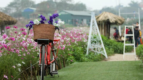 Sư Tử nên thư giãn và nghỉ ngơi, Song Ngư hạnh phúc bên người thân ngày 9/1