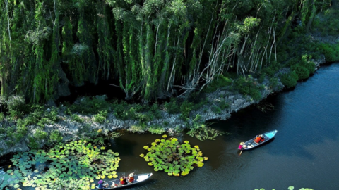 Những địa điểm du lịch gần TP.HCM trong dịp Tết Bính Ngọ 2026