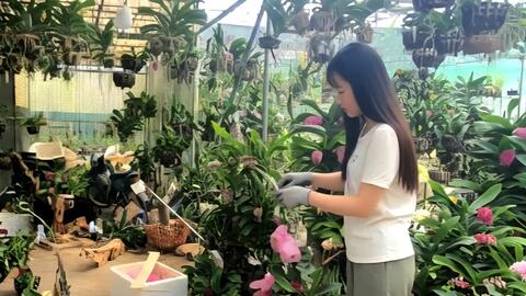 An Khánh xây dựng nông thôn mới gắn với nâng cao đời sống người dân