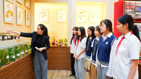 Phát triển toàn diện con người: Trục xuyên suốt của chiến lược giáo dục