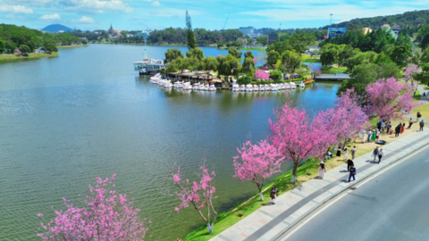 Sân bay Liên Khương tạm đóng cửa 6 tháng: Du khách đến Đà Lạt bằng đường nào?