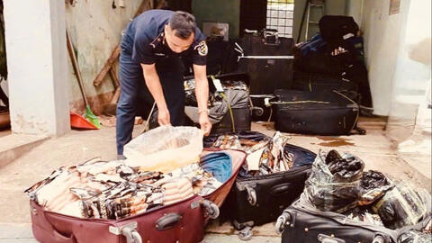 Hải quan liên tiếp phát hiện, bắt giữ hơn 1,8 tấn thực phẩm đông lạnh nhập lậu