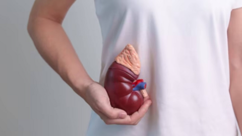 7 thói quen gây hại thận mỗi ngày