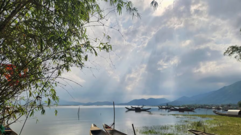 Xứ Truồi trong ca dao: Vị ngọt của đất, vị sâu của tình