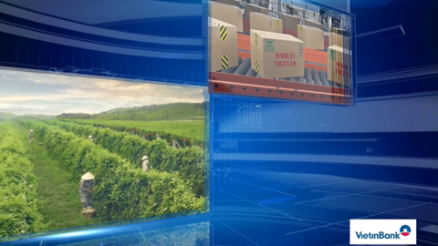 Video quảng bá Diễn đàn Hợp tác xã 2026: Kết nối kinh tế hợp tác với hệ sinh thái kinh tế tư nhân