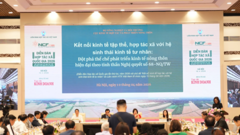 Khơi thông dòng vốn cho kinh tế tập thể – Từ điểm nghẽn đến động lực phát triển