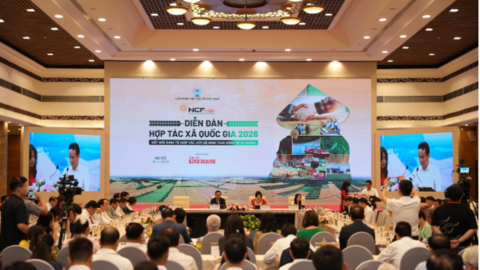 Sau Diễn đàn Hợp tác xã Quốc gia 2026 – Từ cam kết đến hành động thực chất