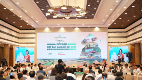 Liên kết HTX và doanh nghiệp – Động lực mới trong chuỗi giá trị