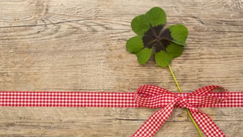 Tử vi 12 con giáp ngày 17/4: 3 con giáp vận đỏ như son, làm gì cũng dễ gặp may