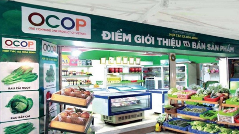 Phân hạng sản phẩm OCOP: Thang điểm 100 và 5 cấp bậc công nhận