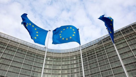 EU đang xem xét thu hồi quyền phủ quyết đối với các thành viên mới