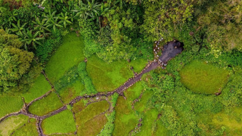 UNESCO đồng hành với tỉnh Quảng Trị xây dựng hồ sơ ghi danh các di sản