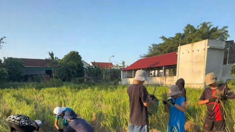 Lớp học đặc biệt ngoài đồng ruộng dành cho 'khối nghỉ hè'