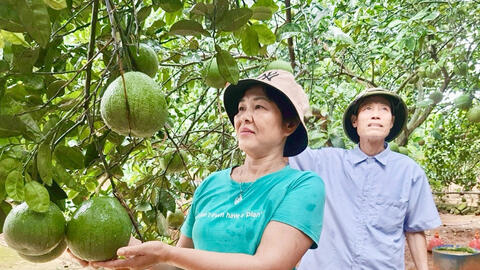 Sản xuất nông nghiệp hàng hóa gắn với nhu cầu thị trường